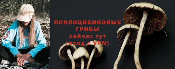 ГАЛЛЮЦИНОГЕННЫЕ ГРИБЫ Зерноград
