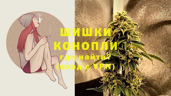ГАЛЛЮЦИНОГЕННЫЕ ГРИБЫ Зерноград